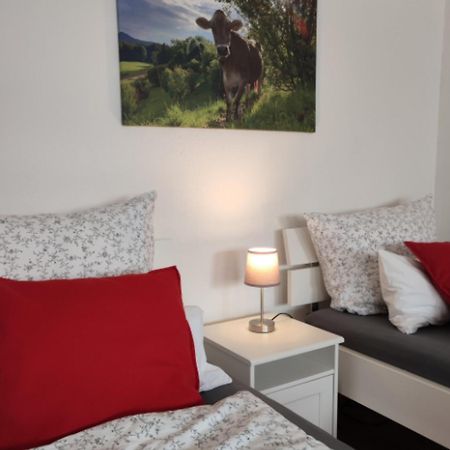 Ferienwohnung Trifts | Einzelbetten | Parkplatz Wangen im Allgäu Zewnętrze zdjęcie