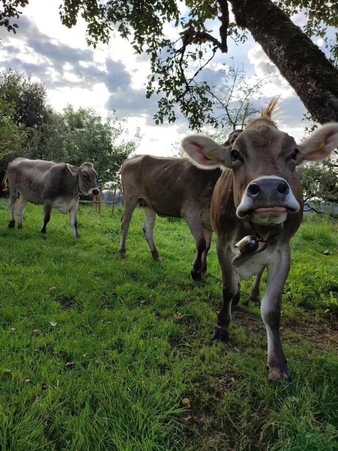 Ferienwohnung Trifts | Einzelbetten | Parkplatz Wangen im Allgäu Zewnętrze zdjęcie