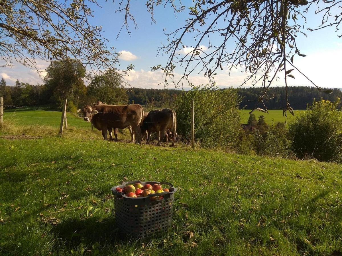 Ferienwohnung Trifts | Einzelbetten | Parkplatz Wangen im Allgäu Zewnętrze zdjęcie